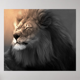 Pôster Sinta A Luz Branca