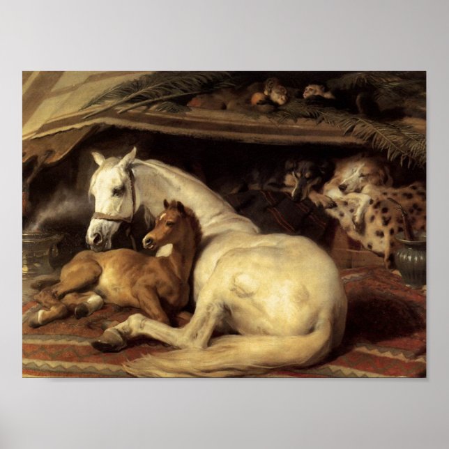 Poster Sir Edwin Henry Landseer | A tenda árabe (Frente)