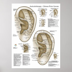 Poster Sistema Chinês de Acupuntura Auricular do Ouvido