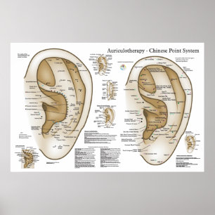 Poster Sistema Chinês de Acupuntura Auricular do Ouvido