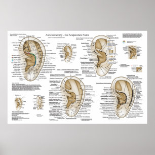 Poster Sistema Europeu De Auriculoterapia Ouvido Acupuntu