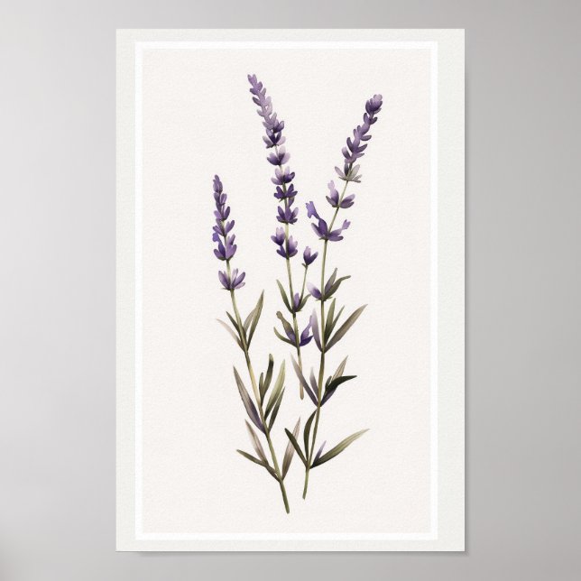 Poster Sistema Mínimo de Flor de Lavanda de Aquarela (Frente)