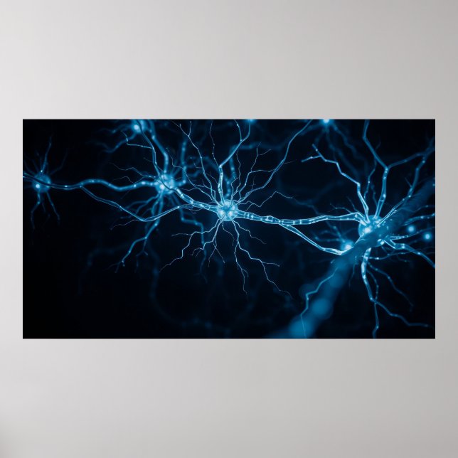 Poster sistema nervoso (Frente)