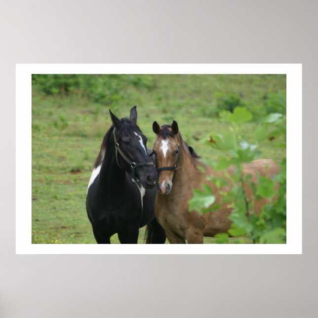 Poster Sisters love (Frente)