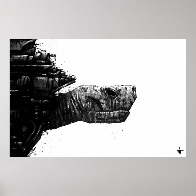 Pôster SIT "Turtle" (Frente)