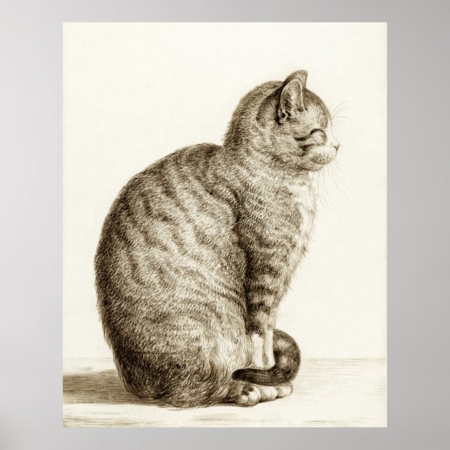 Poster Sitting cat vintage sepia pencil drawing (Frente)