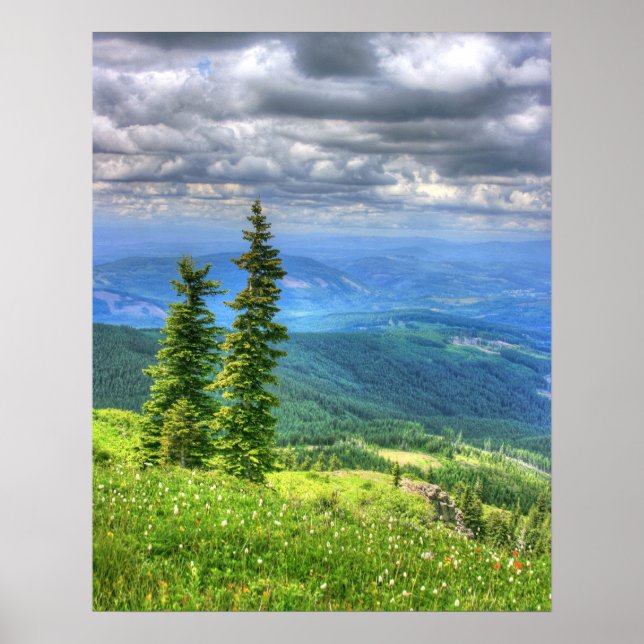 Pôster Siverstar Hdr (Frente)