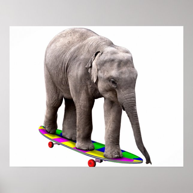 Poster Skateboarding elephant (Frente)