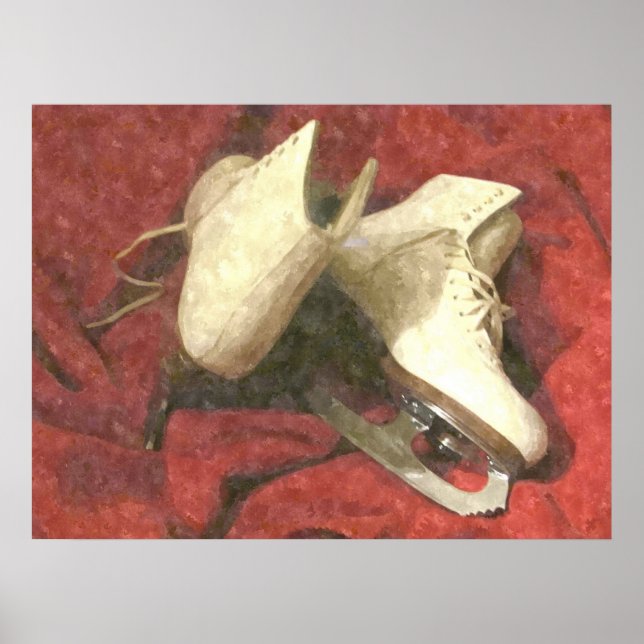 POSTER SKATES BRANCOS DE GELO NO DESCANSO (Frente)