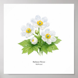 Poster Skeleton Flower Botanical Illustration – Art Print
