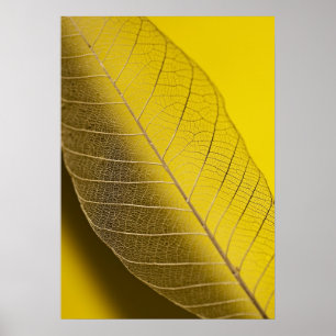 Pôster Skeleton Leaf Yellow