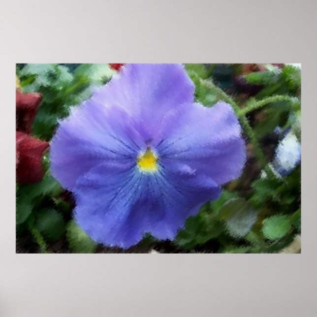 Poster Sketch Pansy Molt Azul (Frente)