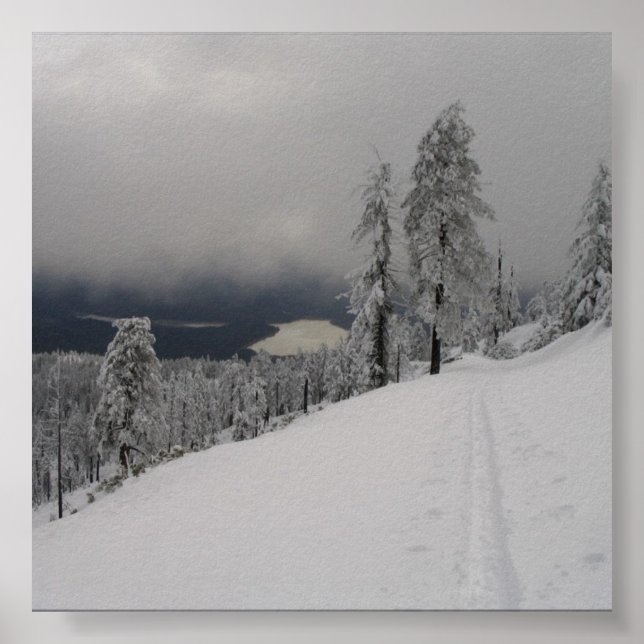 Pôster Skintrack @ Hull Mountain - ampliação de fotos (Frente)