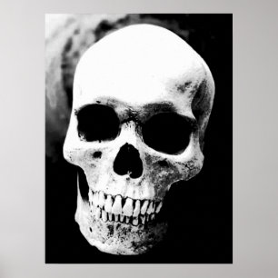 Poster Skull Black White Fantasy Metal Rock