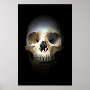 Poster Skull Fantasy Art Rock Punk Heavy Metal