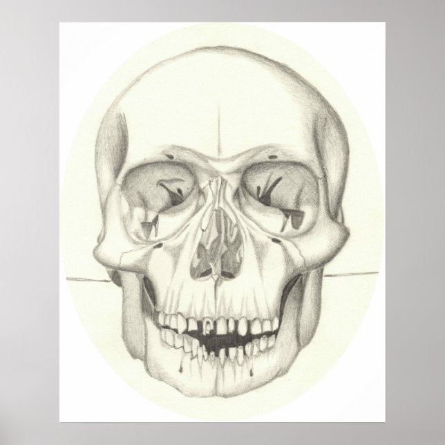 Pôster Skull print (Frente)