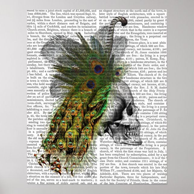Poster Skull With Feather Headress (Frente)