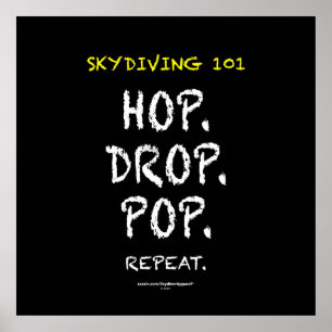Pôster Skydiving 101 - Salto. Gota. Pop. Repetição