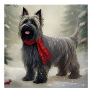 Pôster Skye Terrier Dog no Natal da Neve