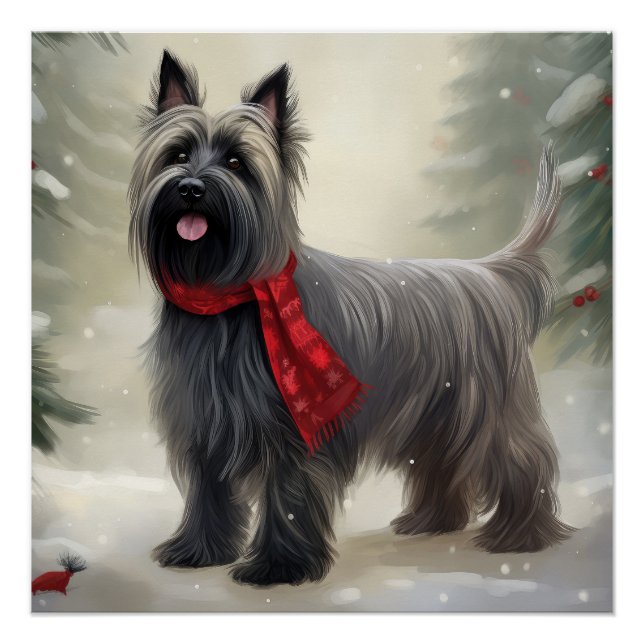 Pôster Skye Terrier Dog no Natal da Neve (Frente)