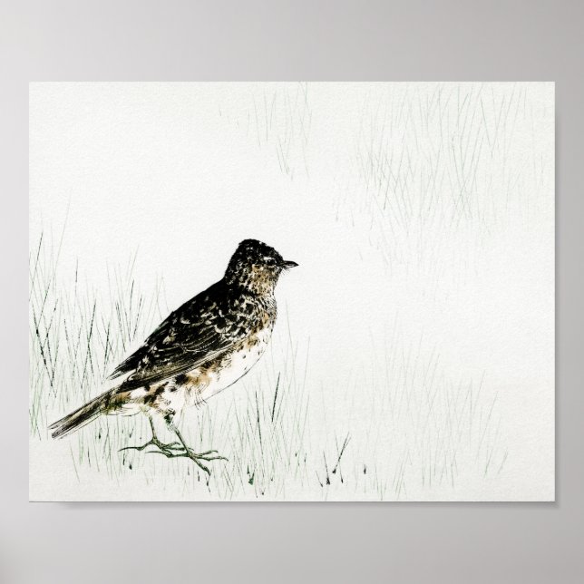 Poster Skylark Bird, Watanabe Seitei (Frente)