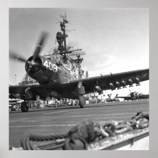Pôster Skyraider
