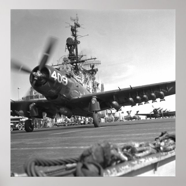 Pôster Skyraider (Frente)