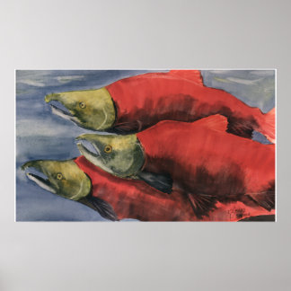 Pôster Slamon' Salmon!