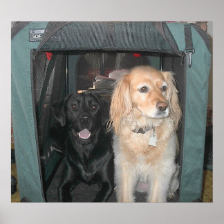 Pôster Slate e Sasha