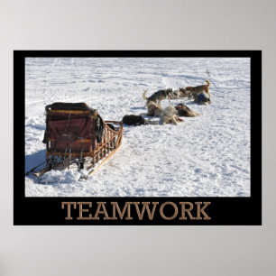 Poster Sled trabalho em equipe