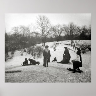 Poster Sledding no Central Park, 1906. Foto do vintage