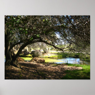 Pôster "Sleepy Hollow"