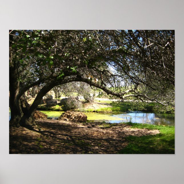 Pôster "Sleepy Hollow" (Frente)