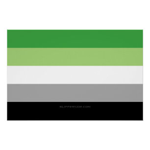 Pôster SlipperyJoe's Aromtic Pride Flag gay Dom LGBTQ