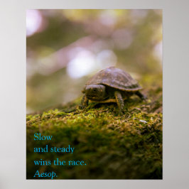 Poster "Slow and steady wins the race." Aesop