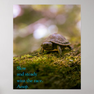 Poster "Slow and steady wins the race." Aesop