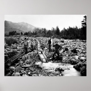 Pôster SLUICING for DOURADO c. 1890