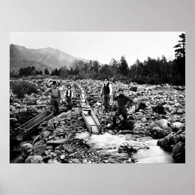 Pôster SLUICING for DOURADO c. 1890 (Frente)