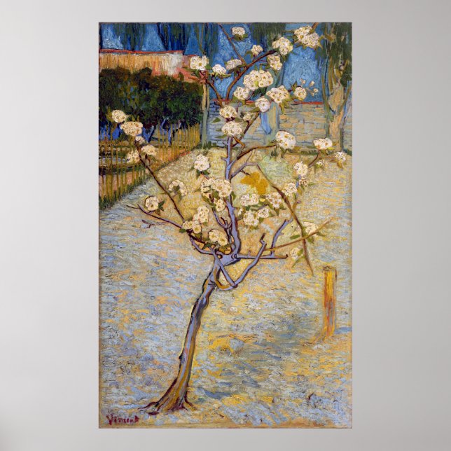 Poster Small Pear Tree in Blossom, Vincent Van Gogh (Frente)