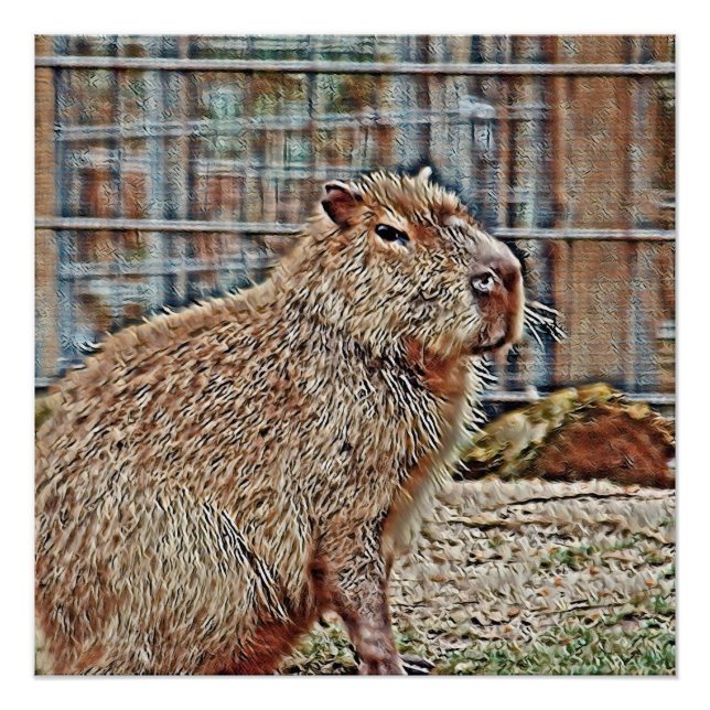 Pôster SmartMix Animal - Capybara (Frente)