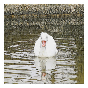 Pôster SmartMix Animal- Swan