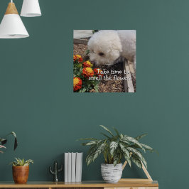 Poster Smell the Flowers 