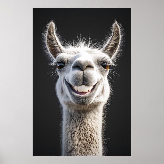 Poster Smiling Llama Close-up (Frente)