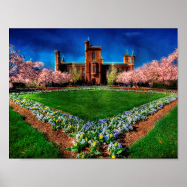 Pôster Smithsonian Castle Cherry Blossoms (Frente)