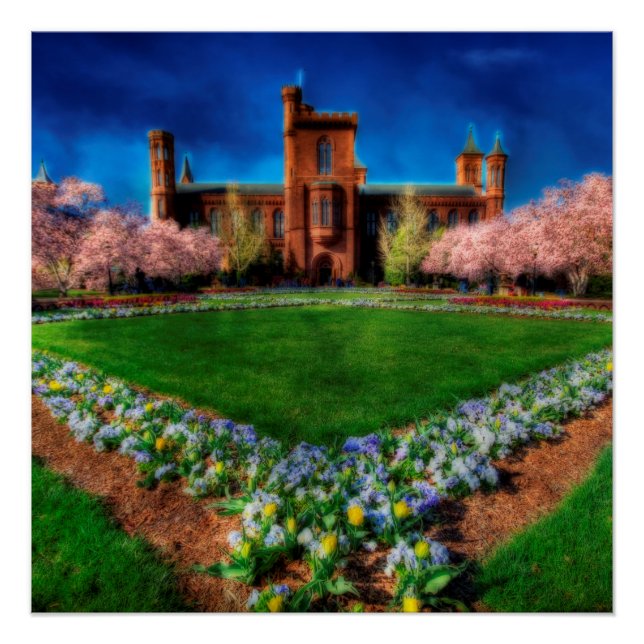 Pôster Smithsonian Castle Cherry Blossoms (Frente)