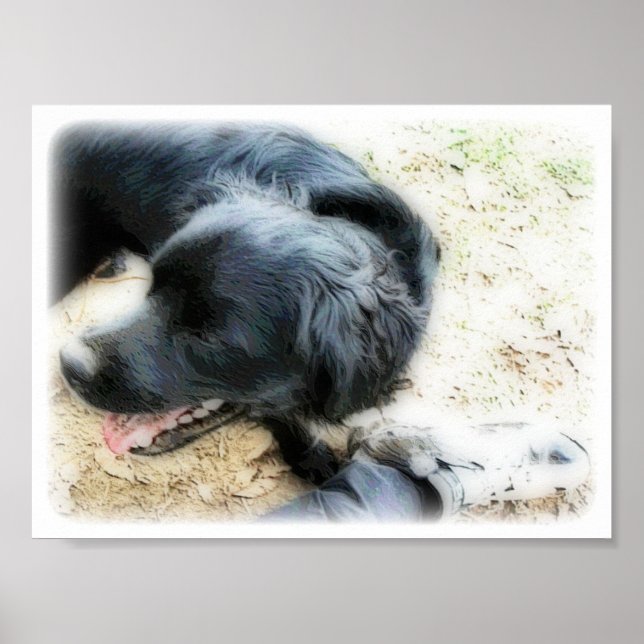 Poster Smokey (Frente)