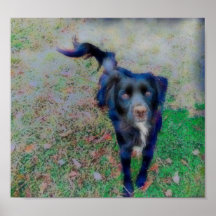 Smokey Brilhando em Tinta de Fibras Brilhantes