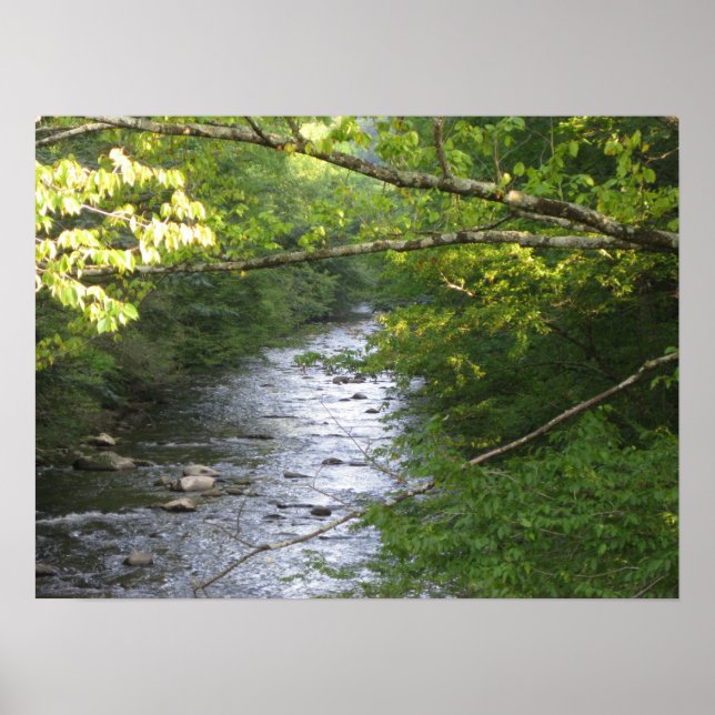 Poster Smokey Mounts (Frente)