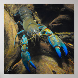 Poster Smooth Yabby assinado