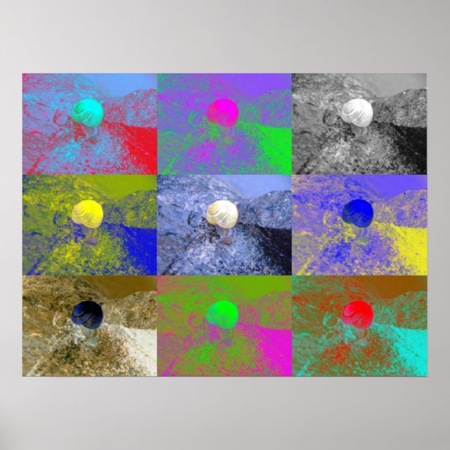 Pôster Snail Cepaea Pop Art (Frente)